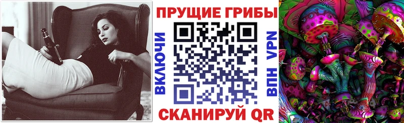 Псилоцибиновые грибы Cubensis Невельск